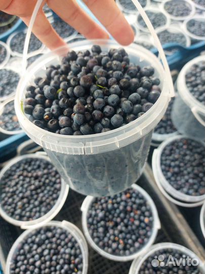 Черниго вкусные