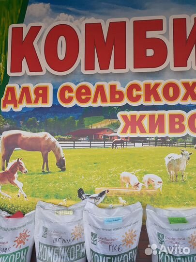 Зерно пшеница ячмень