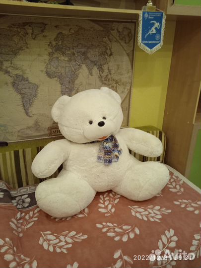 Медведь белоснежный