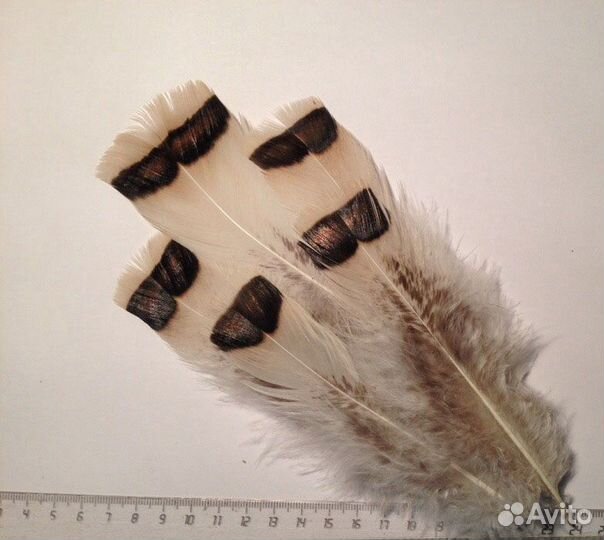 Перья для хэндмейда