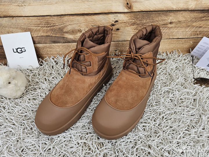 Ugg Classic Mini Lace-up Weather Chestnut оригинал