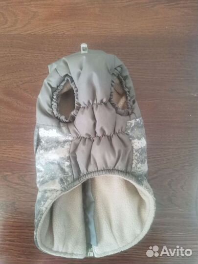 Одежда для собак