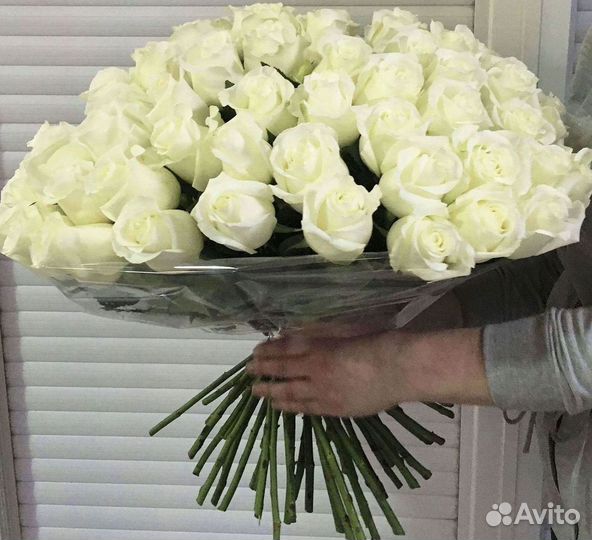 Розы гиганты 140 150 160 170 180 200