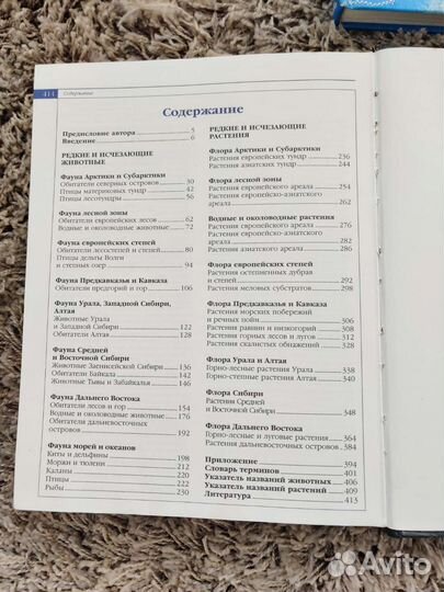 Энциклопедии. Атлас. География. Животные. Лошади