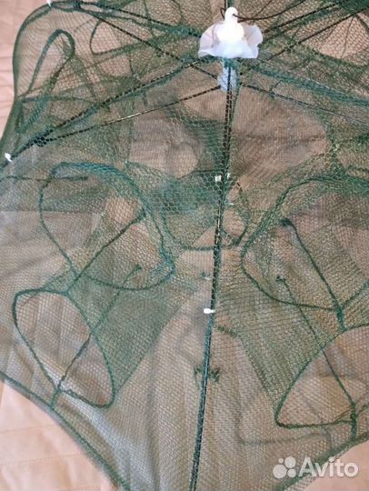 Раколовка зонтик