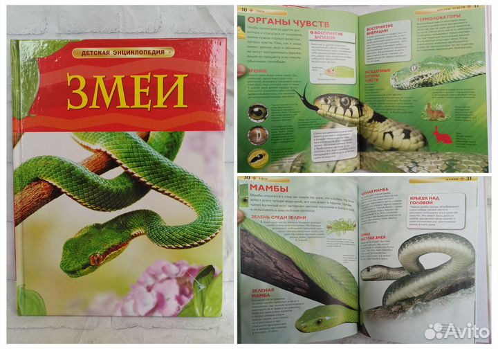 Детские энциклопедии