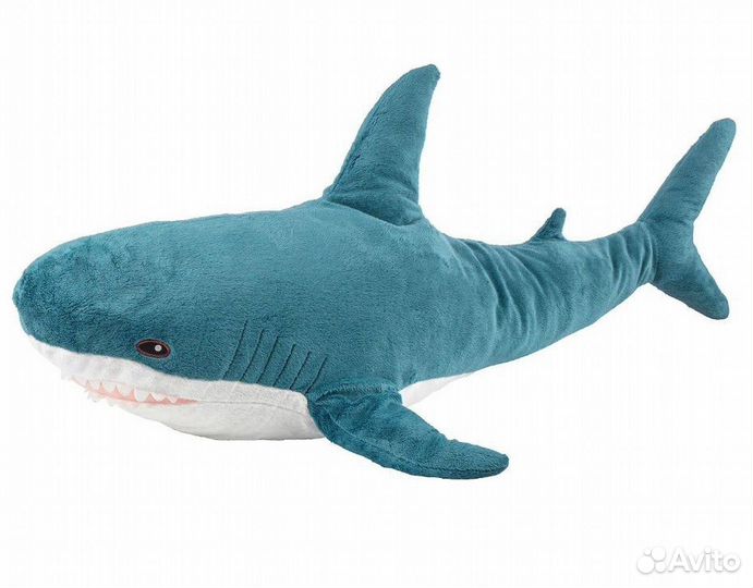 Акула Блохэй