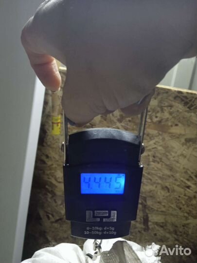 Собачья шерсть пух