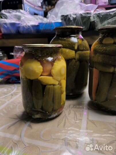 Соленья домашние