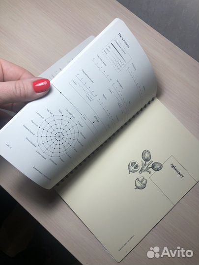 Журнал бариста дегустация кофе