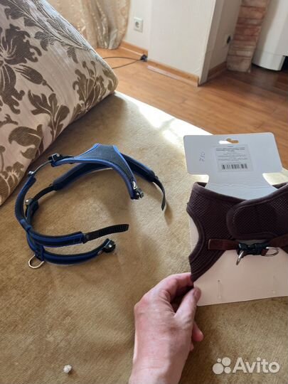 Шлейка для шенка или для собак мелких пород