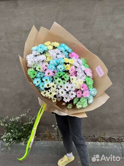 Ромашки. Хризантема ромашковидная