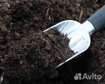 Земля с доставкой по Архангельску и области