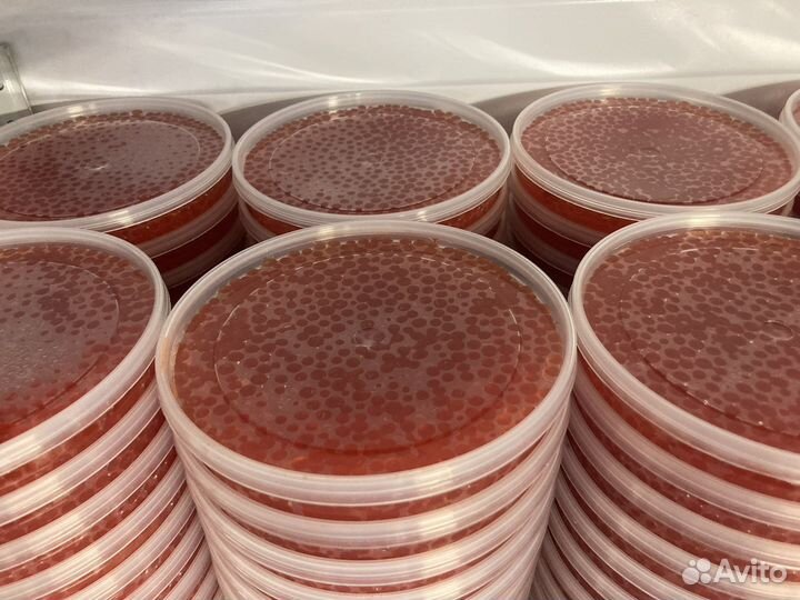 Икра красная горбуши (свежий вылов)