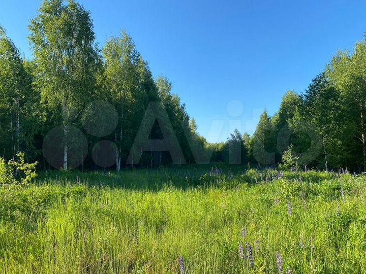 Участок 15,4 сот. (ИЖС)