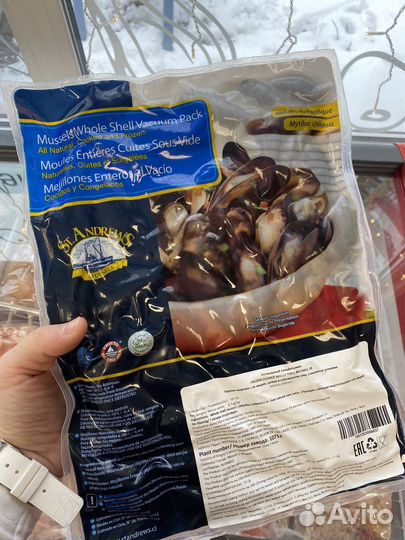 Мидия в створках