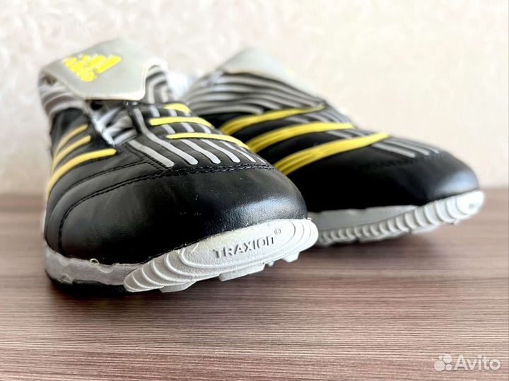 Сороконожки