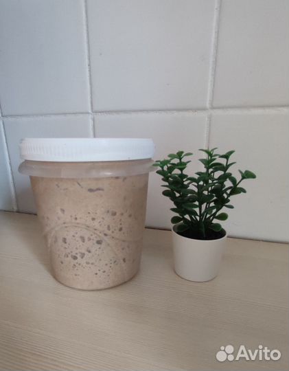 Ржаная закваска для хлеба