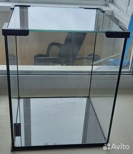 Ракушки, галька, кораллы