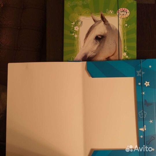 Папка картонная Herlitz