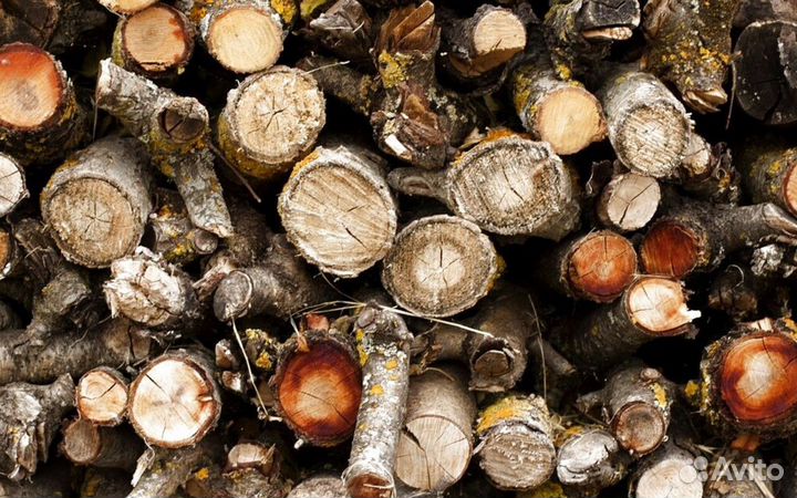 Дрова с пилорамы