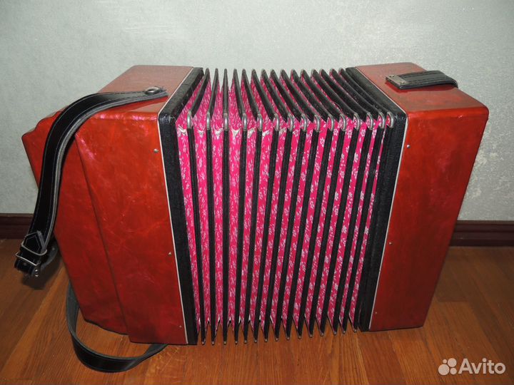 Гармони Тульские 301