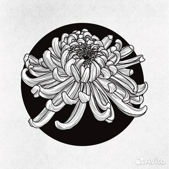 Модель на тату