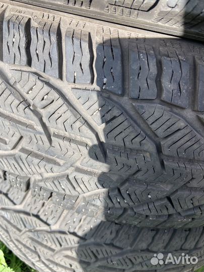 Tigar Winter 205/55 R17 95V