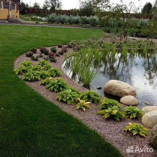 Укладка рулонных газонов ключ