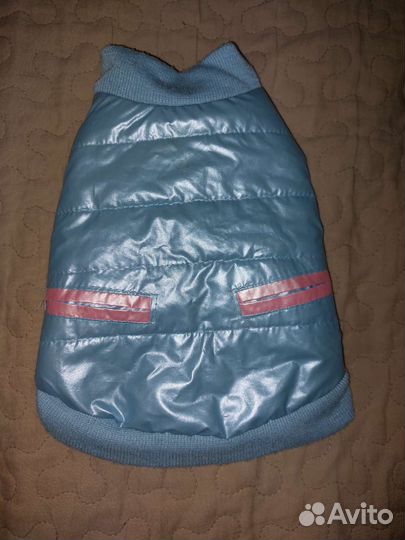 Тёплый жилет для маленькой собаки