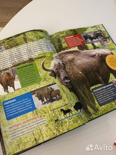 Энциклопедия для детей - Животный мир России