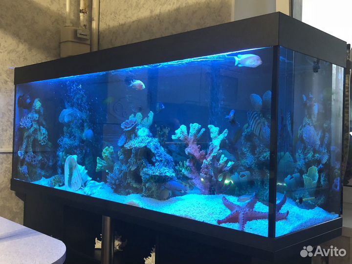 Обслуживание и чистка аквариума