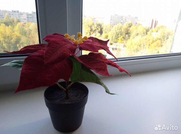 Цветок искуствееный икея