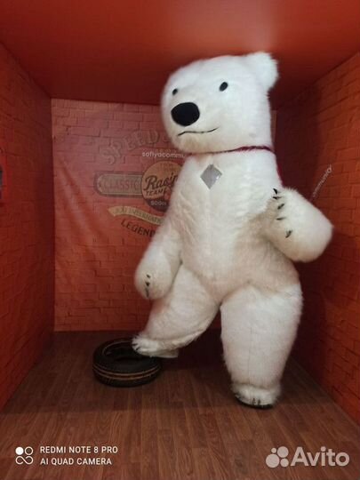 Поздравление Белого Мишки