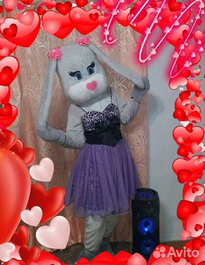 Аниматор зайка