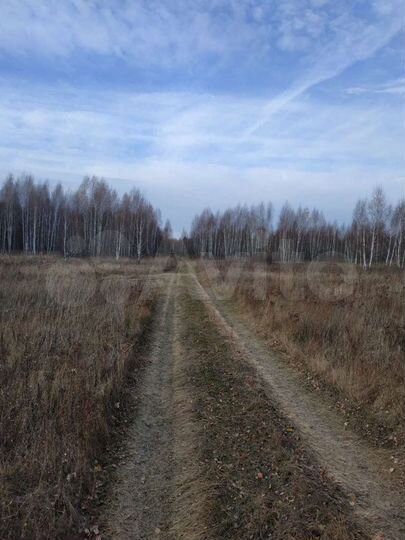 Участок 53 га (СНТ, ДНП)