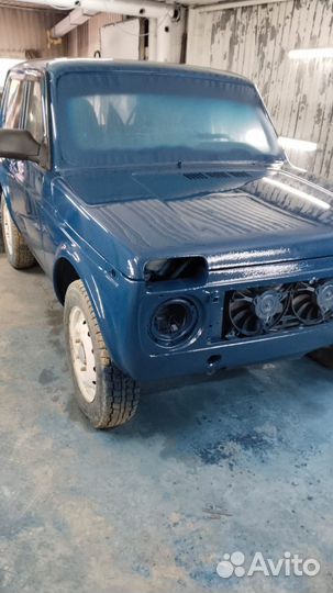 Пластиковая дверь на ниву