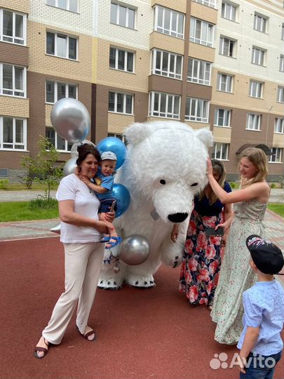 Медведь поздравление белого медведя в Новосибирске