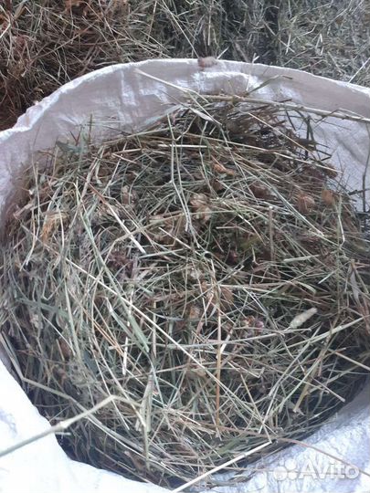 Сено в мешках 22 года