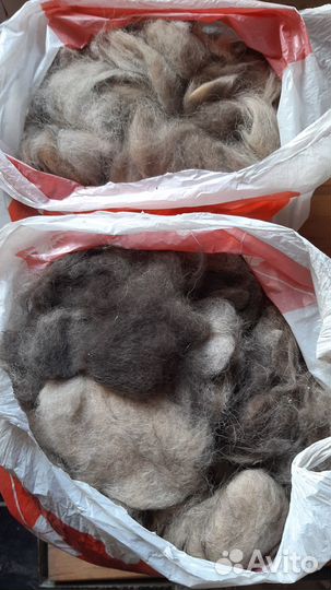 Собачья шерсть