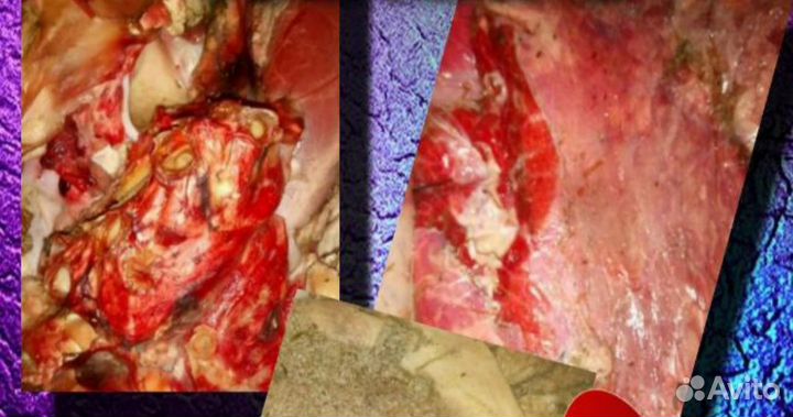 Мясо говядина для собак