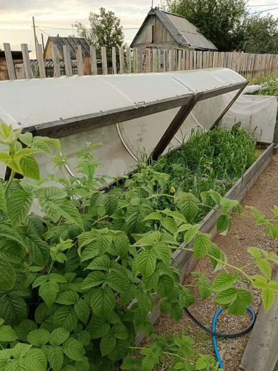 Дом 20 м² на участке 6 сот.