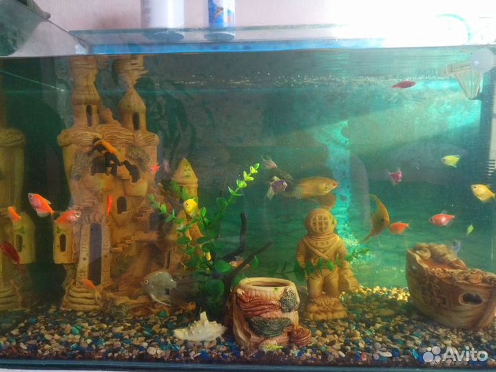 Аквариум