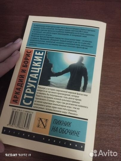 Пикник у обочины