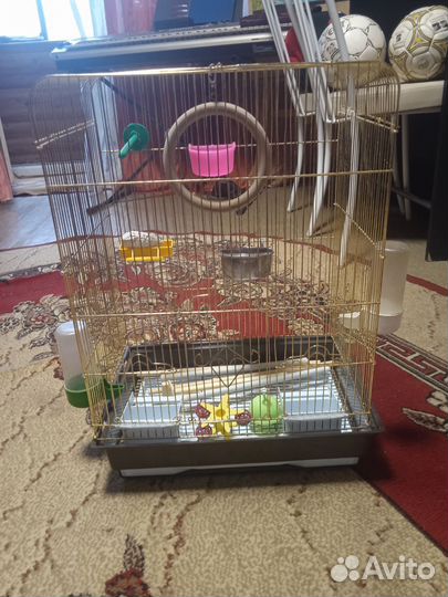 Клетка для попугая