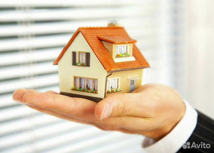 Юридические услуги