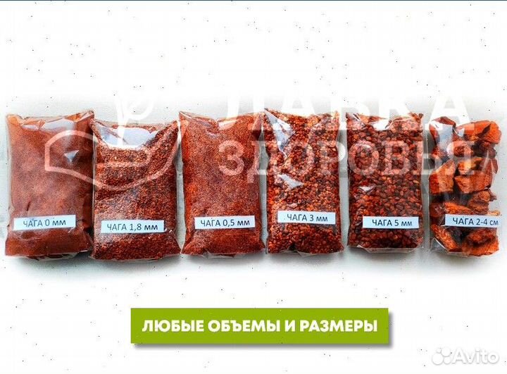 Чага сушеная опт. Любые объемы и виды