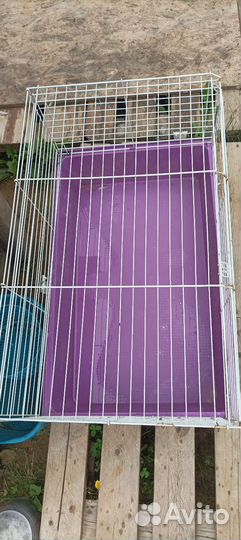 Клетка для кролика