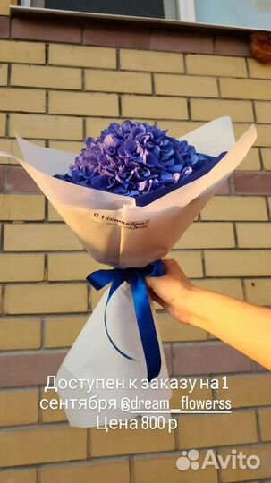 Цветы на 1 сетября