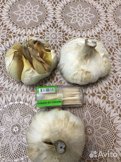 Чеснок рокамболь